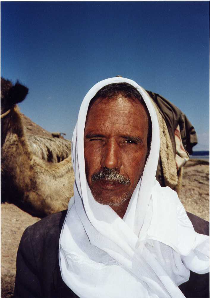 beduincamel.jpg