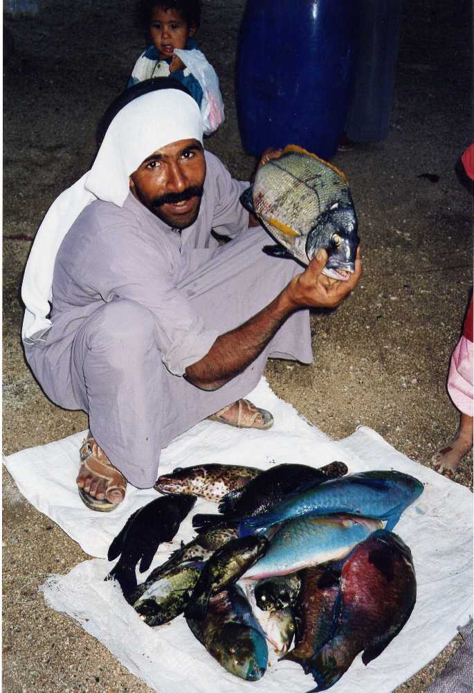beduinfish.jpg
