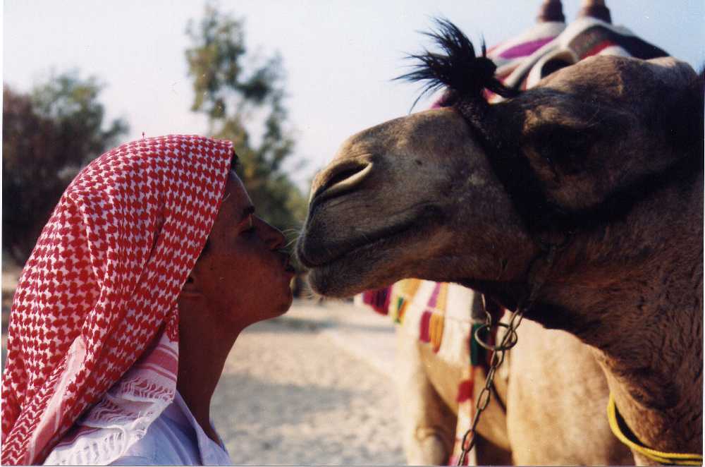 beduinkisscamel.jpg