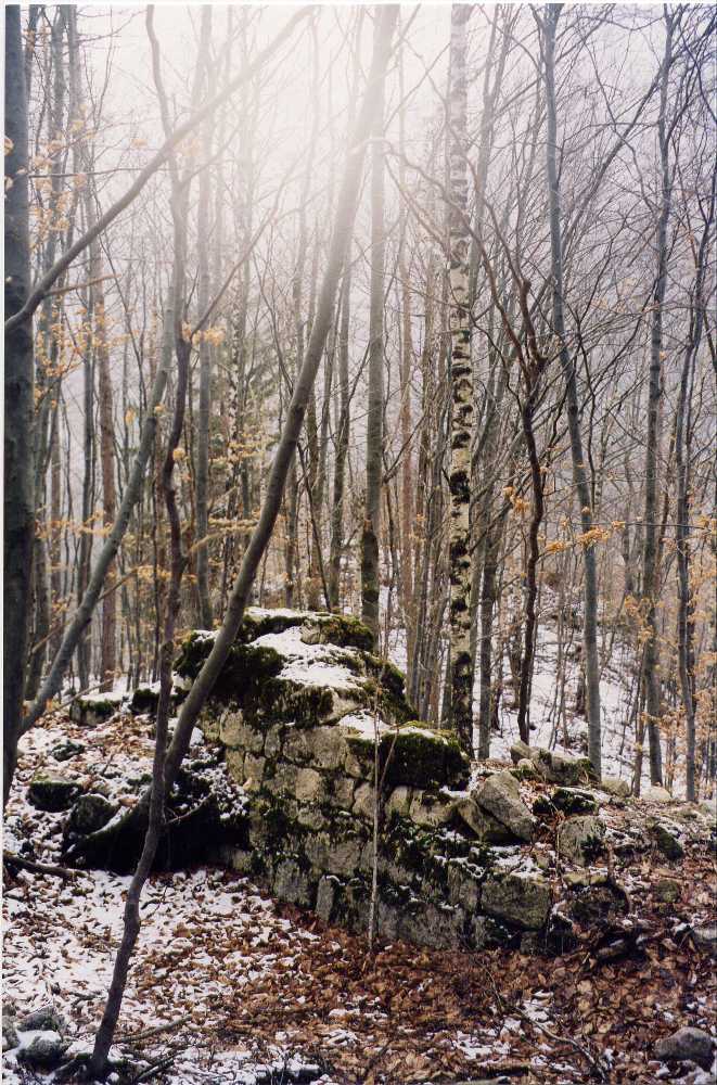 rachelburg.jpg