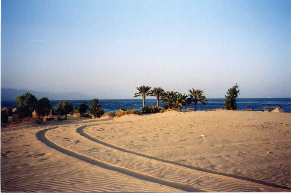 sandysunsetbeach.jpg